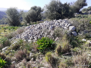 traro-30-12-2021 12-15-52